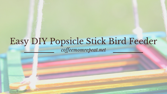 Easy DIY Popsicle Stick Bird Feeder