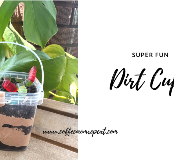 Super Fun Dirt Cups
