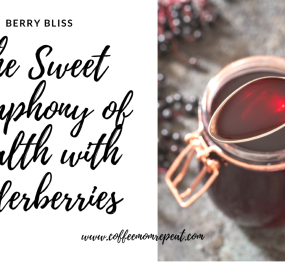 Berry Bliss: The Sweet Symphony of Health with Elderberries